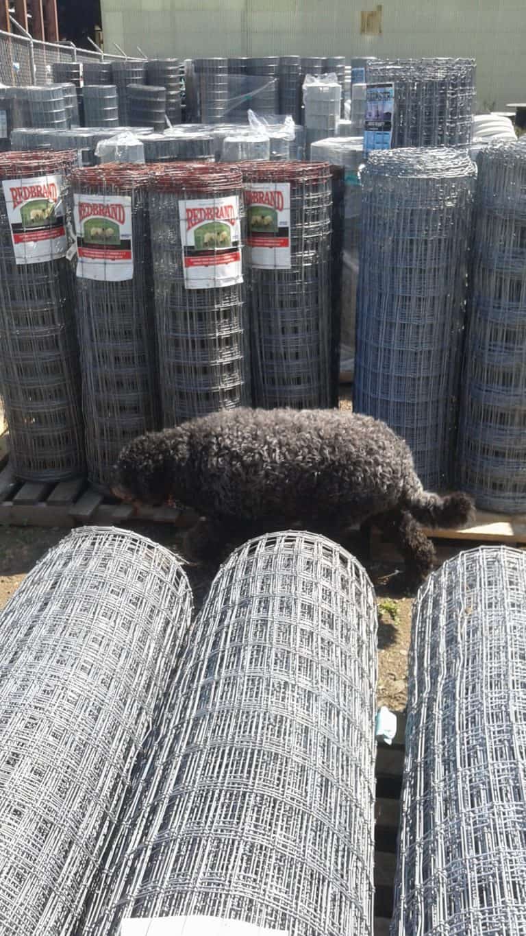 Fencing and gates thunder bay co op farm supplies